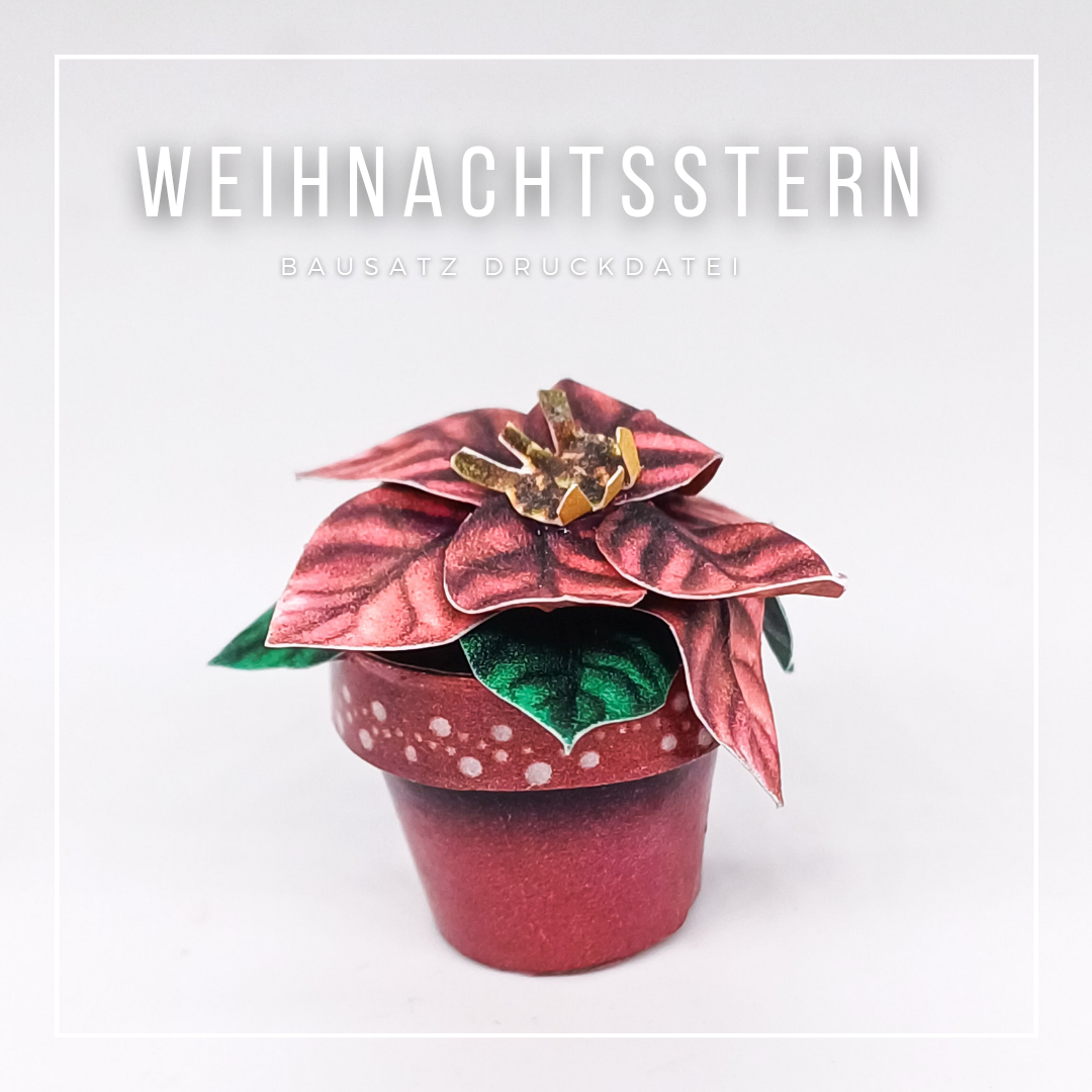 Weihnachtsstern Miniatur Pflanze zum Drucken und Basteln - PDF