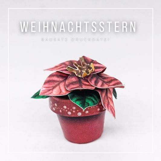 Weihnachtsstern Miniatur Pflanze zum Drucken und Basteln - PDF