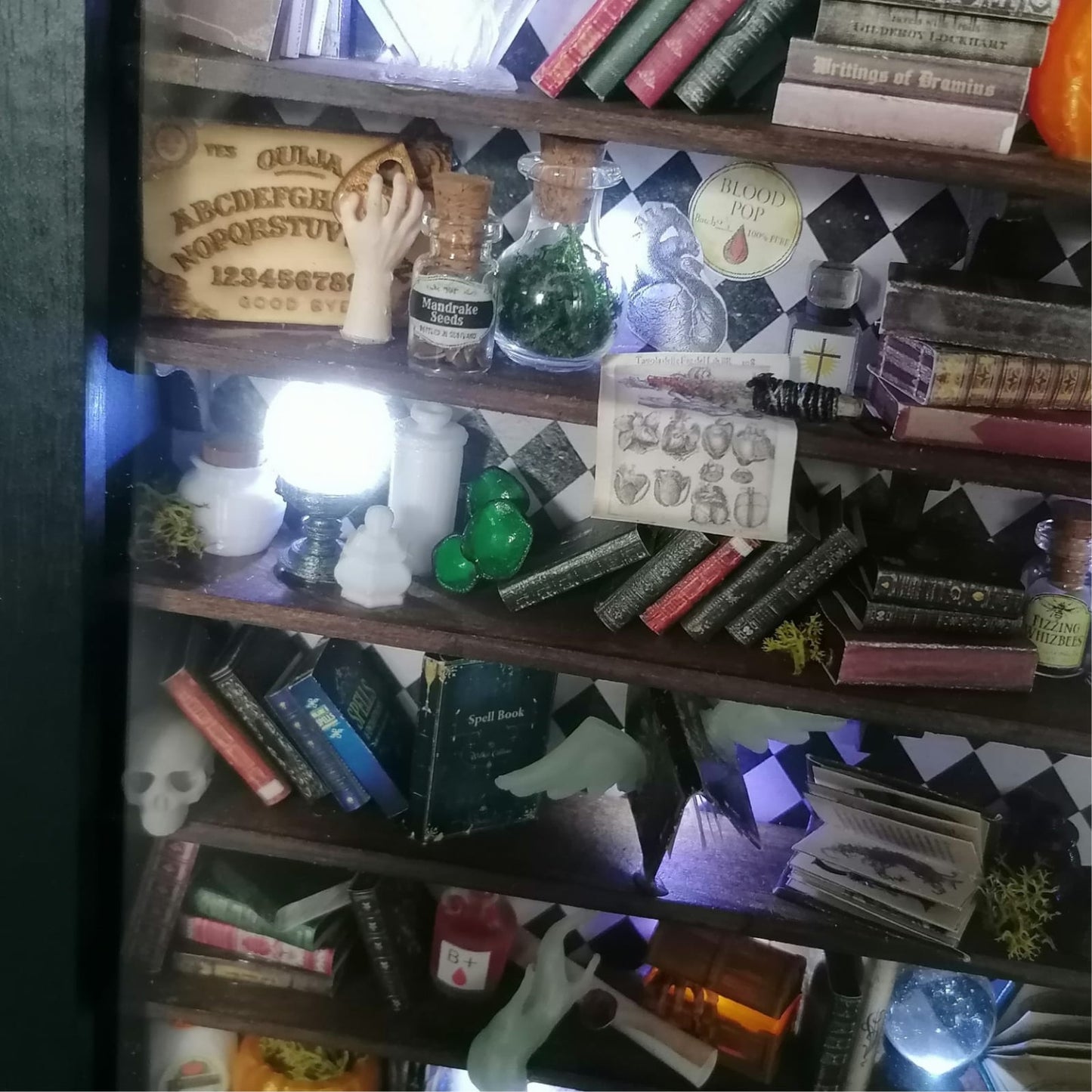 Mural Biblioteca de Brujas Mágicas
