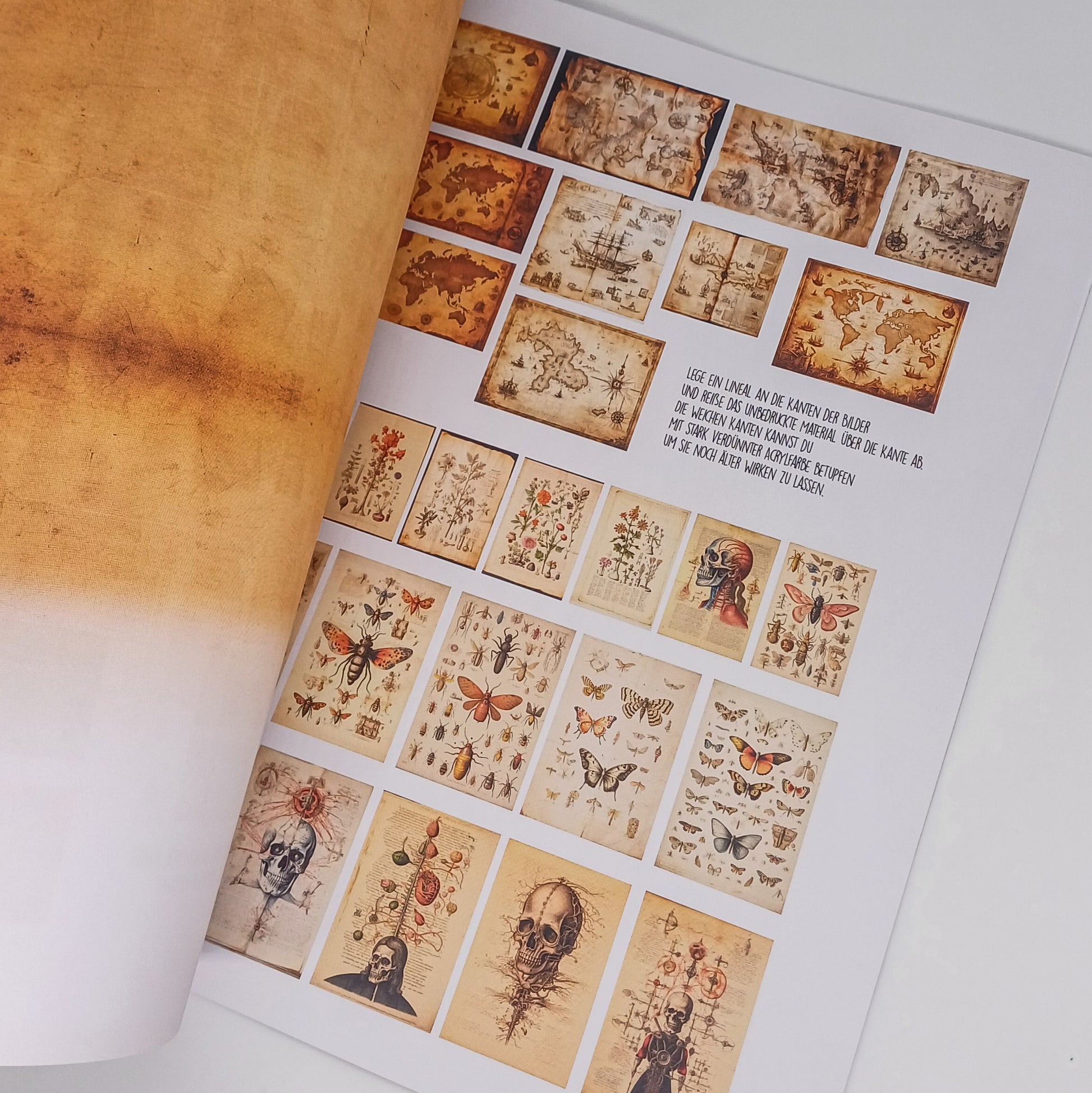 Bastelbuch Magische Miniatur-Bücher Basteln und andere Papier Miniaturen im Maßstab 1:12 - Buch