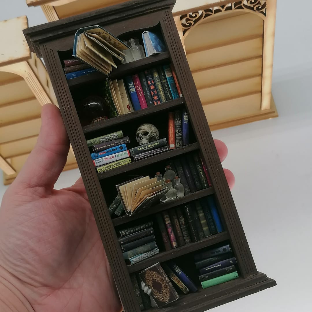 a person holding a book shelf filled with books