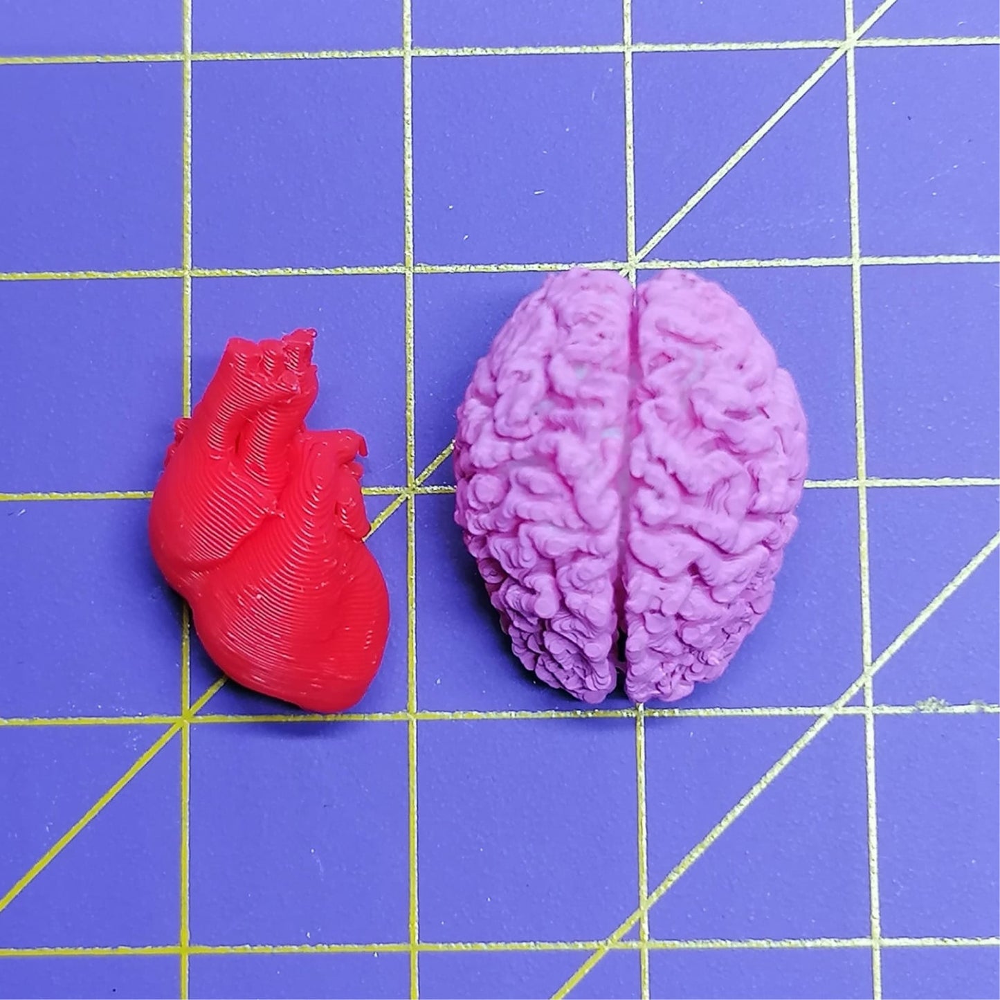 Herz und Hirn Miniatur im Maßstab 1:12 - Miniaturen