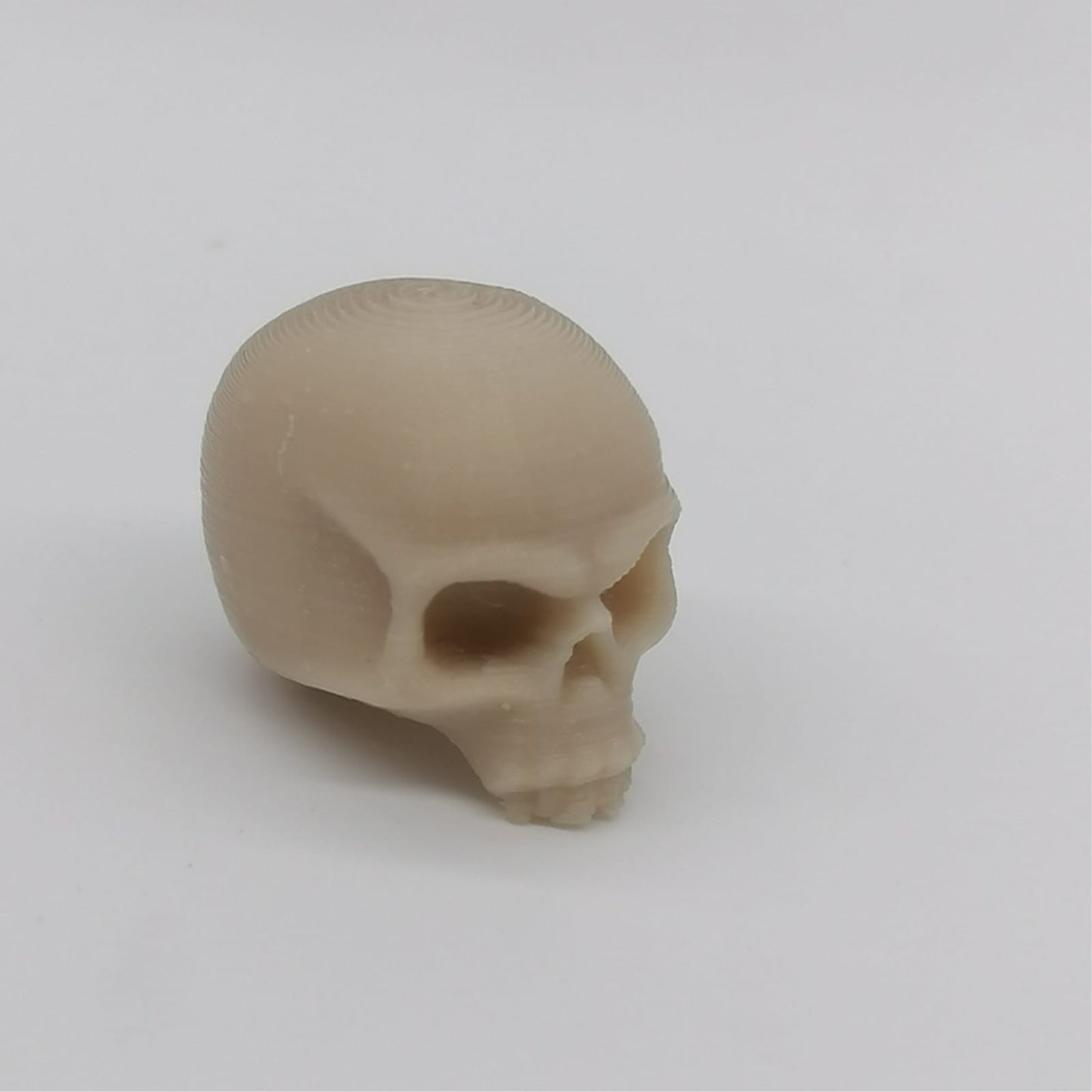 miniatuur schedel