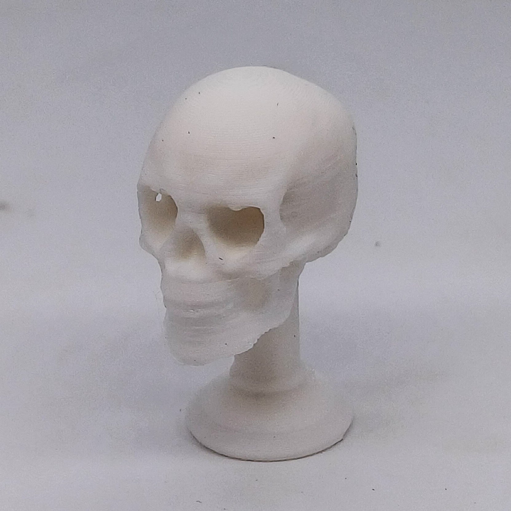 Sugar Skulls im Maßstab 1:12 - Skull unbemalt - Miniaturen