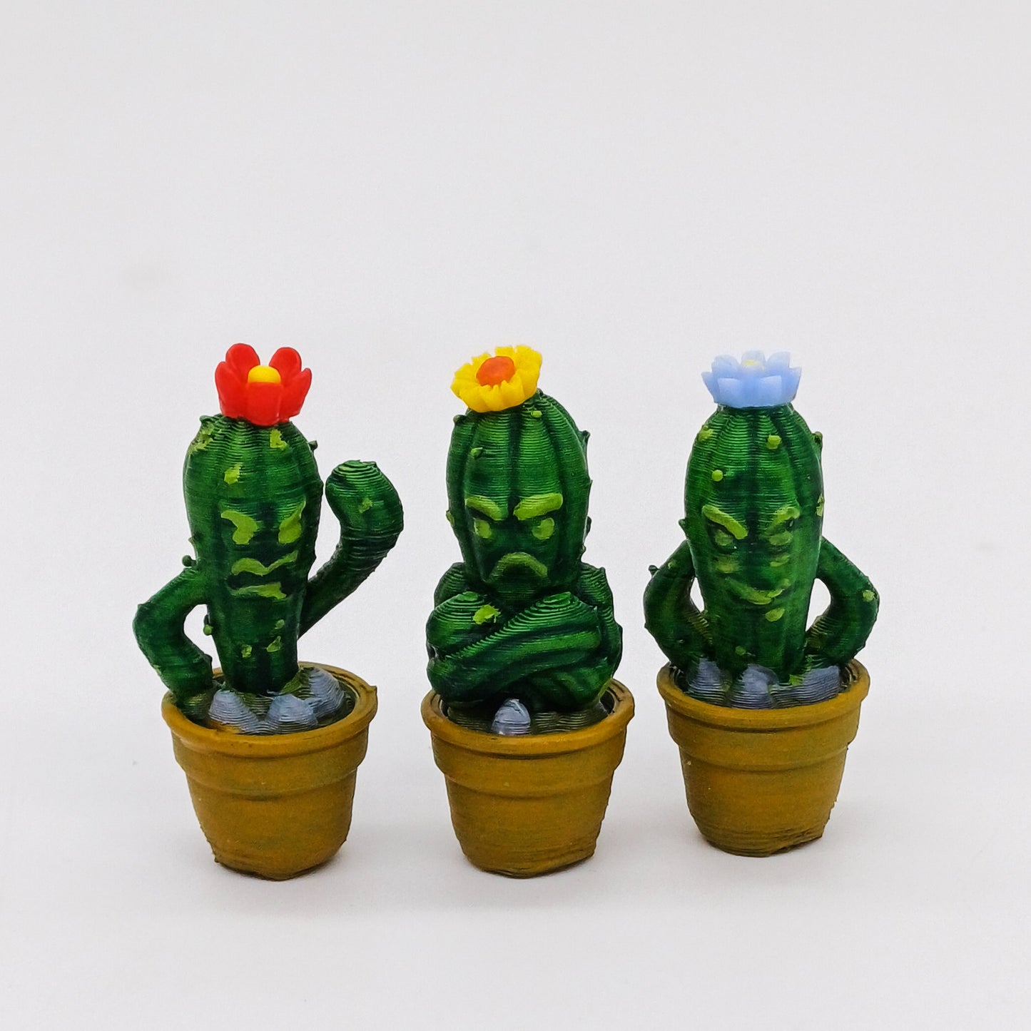 Sogty cactus en una escala de 1:12