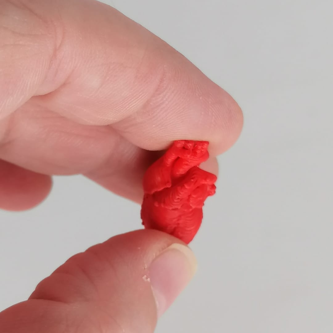 Heart and brain miniature 1:12 scale
