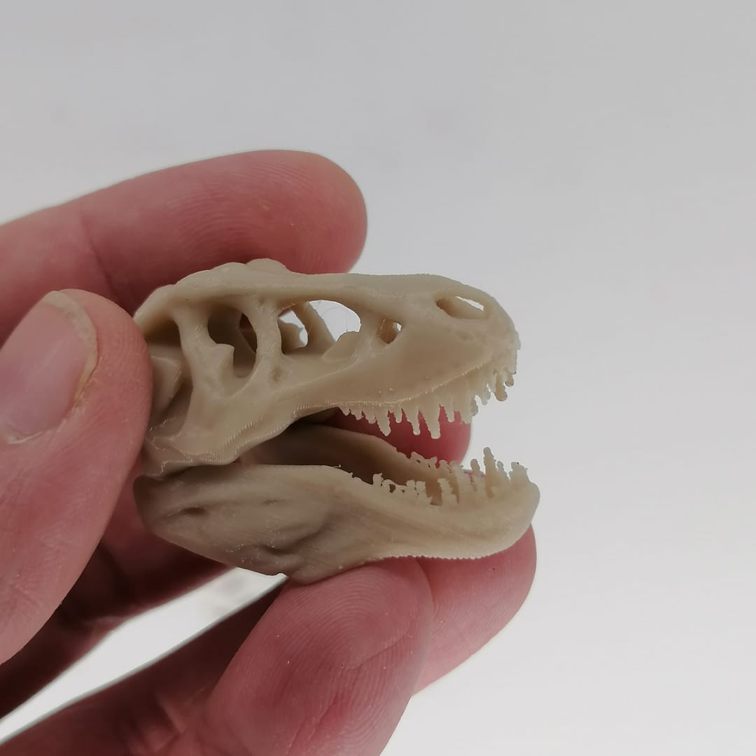 Dinosaurier Studie im Maßstab 1:12 - Miniaturen